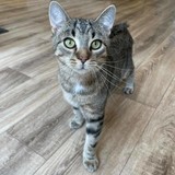 242639040_389803382784928_6989890257078880315_n