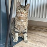 242918546_615650216267659_8223982187792015764_n