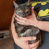 244449530_10221011522420641_1319517427652246981_n