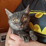 244496145_10221011524740699_7696151280388513036_n