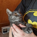 244535432_10221011525300713_3273755695493285627_n