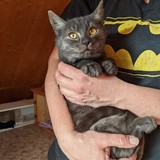 244552405_10221011524260687_4150595455275130791_n