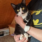 244450087_10221011527020756_506443347661543647_n