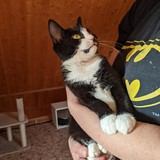 244501610_10221011567021756_1236361212549409229_n