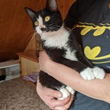 244503516_10221011568781800_4404070544200827451_n