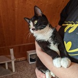 244540431_10221011568141784_5758639626802287295_n