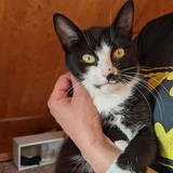 244619794_10221011531860877_2610458302722132602_n