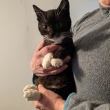 244451211_10221011597702523_749275560500030970_n