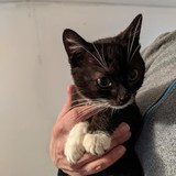 244508106_10221011598142534_6898596676612543455_n