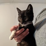 244508573_10221011599062557_8802998995294207716_n