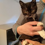 244517071_10221011600822601_1113478953728496232_n