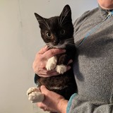 244619807_10221011597142509_667281264395801108_n