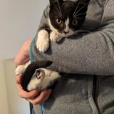 244436929_10221011586662247_2015205830622748721_n