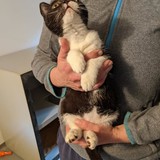 244475774_10221011585742224_5487885602623433437_n