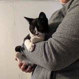 244589999_10221011587462267_3062176770633736538_n