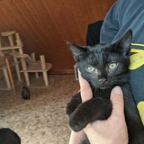 244479734_10221011521980630_8831869650204554678_n