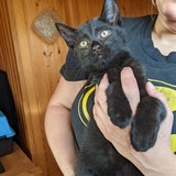 244489596_10221011520180585_5239633255229170339_n