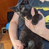 244493898_10221011521340614_6389298400952664056_n