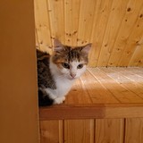 244596976_10221011608102783_5737187934286474152_n