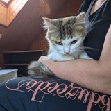 244614472_10221011622903153_5213016731944646412_n