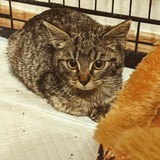 258875150_10221267074049272_213668294981471016_n