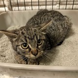 259132516_10221267073249252_9035153307831127861_n