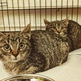 259329004_10221267073689263_716429355410510095_n