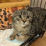 259408861_10221267072409231_3785814186275178684_n