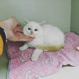 259136568_10221267079089398_3526455867403458086_n