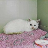 259331558_10221267078689388_1002862338680914874_n