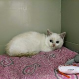 259377458_10221267080049422_1116763417703653707_n