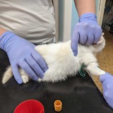 259267364_10221267077889368_7754687042741962427_n