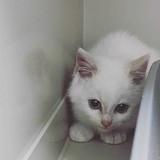 259127228_10221267078209376_992764627646028178_n