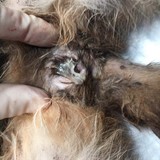 260819131_4812458675487877_8634775134150730335_n