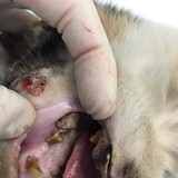 260854436_4812458502154561_3359927066904183707_n