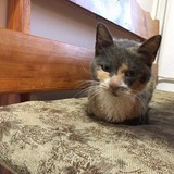 260959961_4812457932154618_4368327636133105004_n