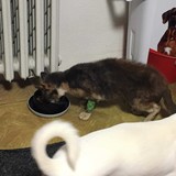 261010532_4812458122154599_4083628801569935042_n