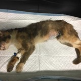 261087549_4812458308821247_353828749801114065_n