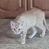 262428033_363283648945719_5483712137096852694_n