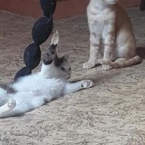 262654267_644558653589390_6716582334744325634_n