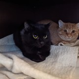 244647444_10221011614262937_4613135553402437057_n