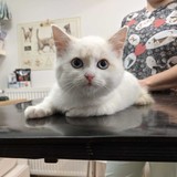 264294928_10221336220617893_3841976415883373636_n