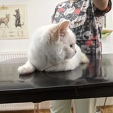 264420337_10221336221217908_3411701071024878226_n