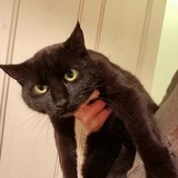 264188389_1490783531294223_5445150545660783028_n