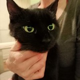 264960379_634049254294246_6402478067371342837_n