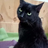 264973732_856688921672286_9172955341243924923_n