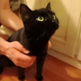 265914865_1592120884465291_4550784000165025032_n