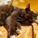 264199223_3148035302182769_6642595395532292221_n