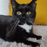 264806478_199545339045604_4577801890945276797_n