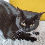 264840366_236771595114326_2777624053662480648_n